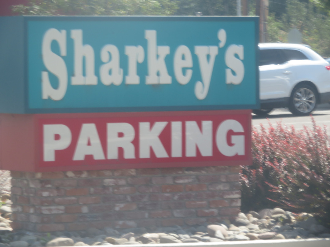 Sharkey's Nugget景点图片