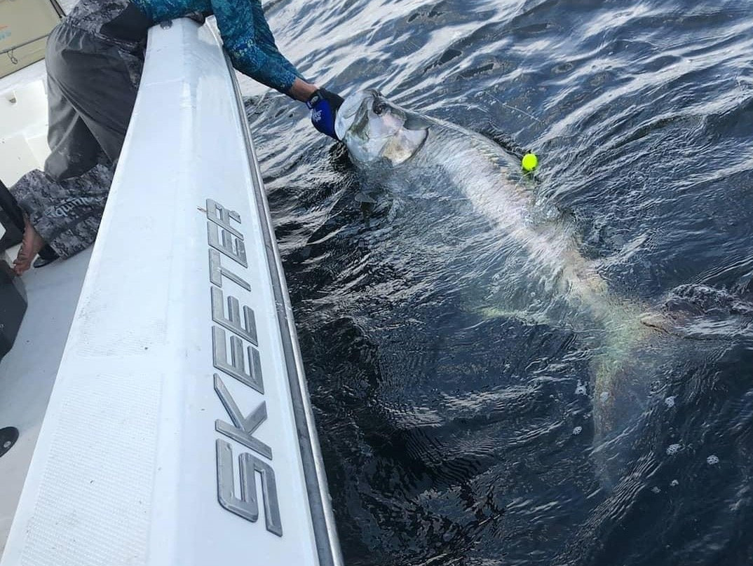 Kb backcountry charters-夏洛特港必去景点