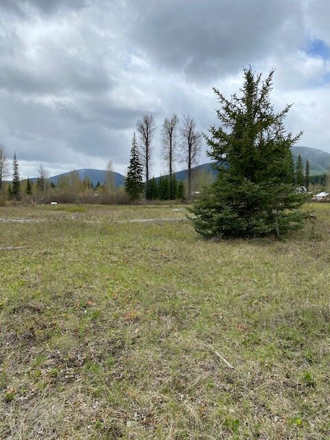 Transboundry Flathead River Interactive Trail-Polebridge必去景点