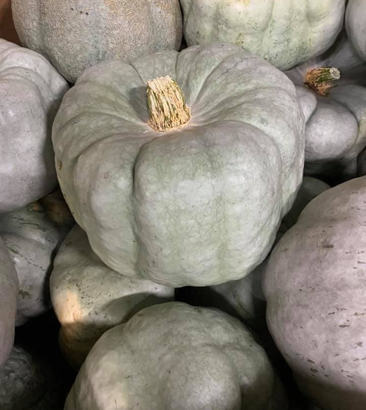 Calhoun Produce景点图片