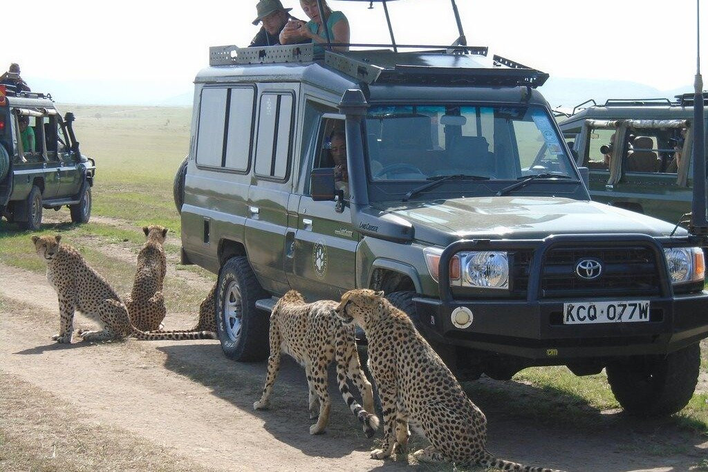 Natural World Kenya Safaris-Masai Mara景点图片