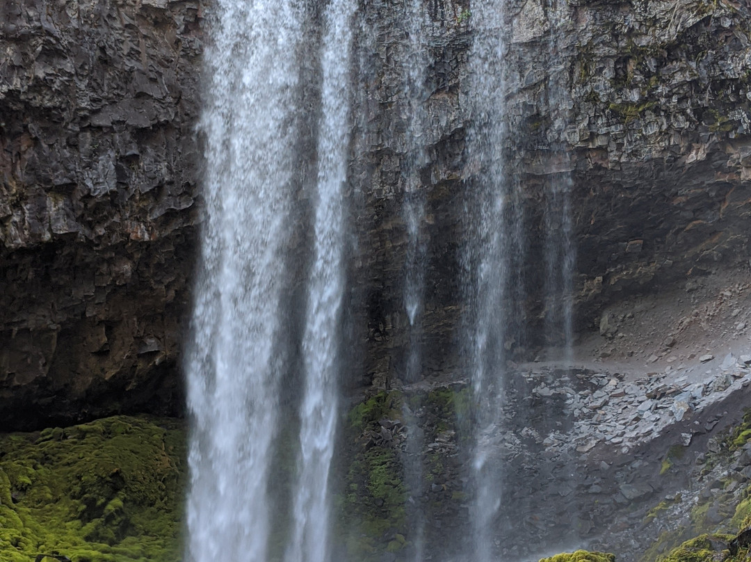 Tamanawas Falls Trail景点图片