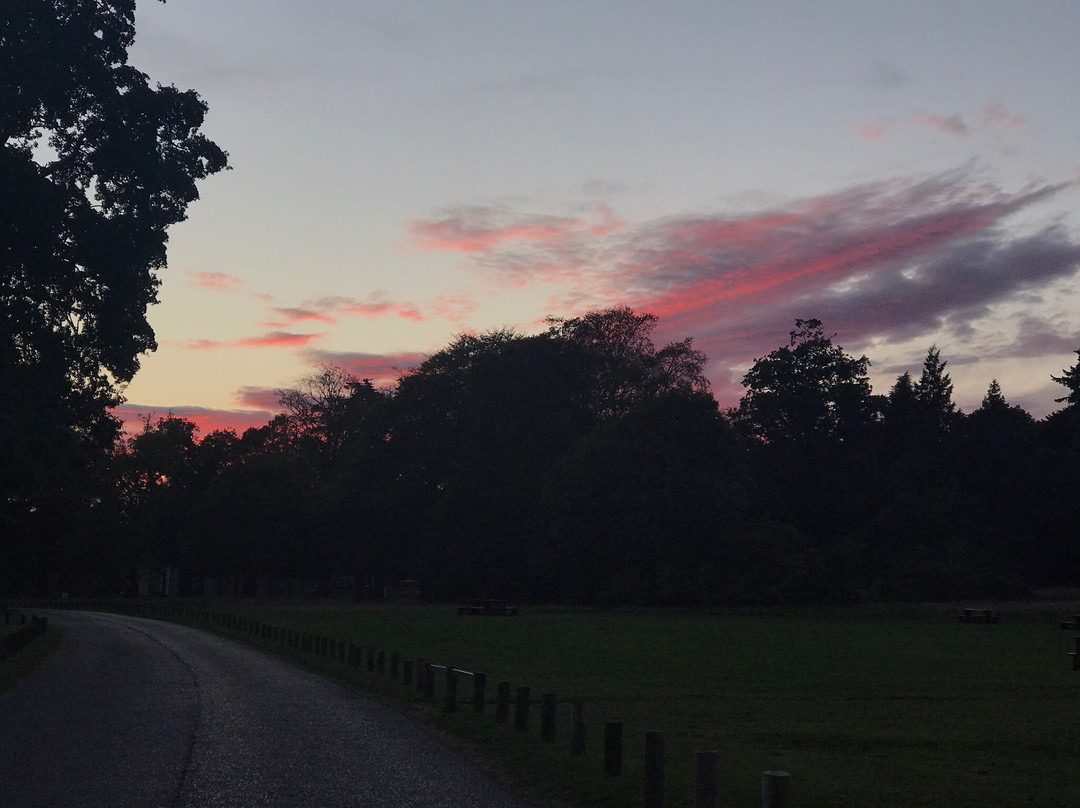 Camperdown Country Park-敦提必去景点