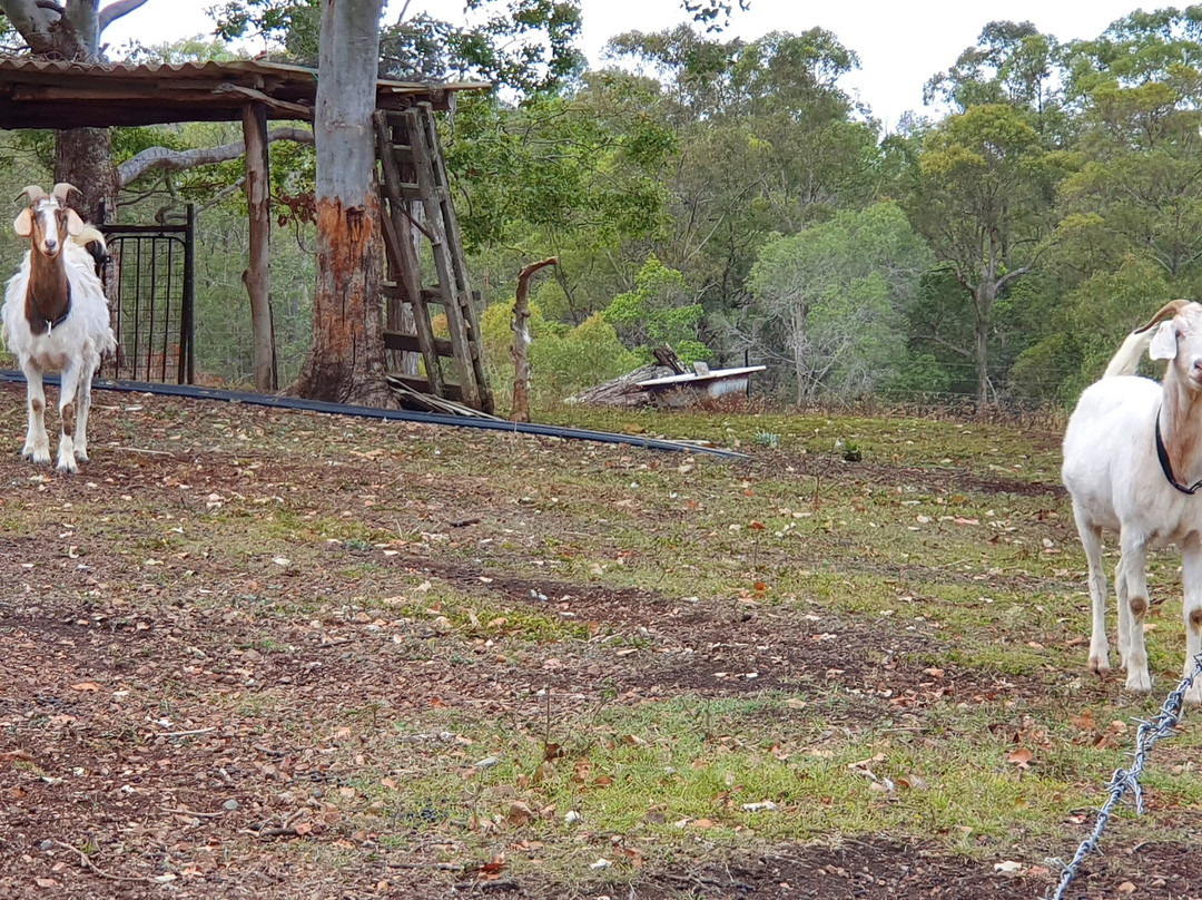 湖袋食宿酒店主图
