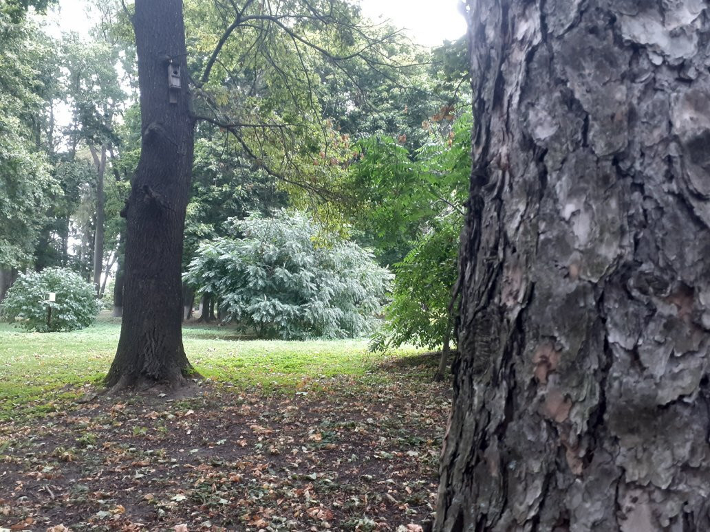 S.N. Khudekova Manor-Yerlino必去景点