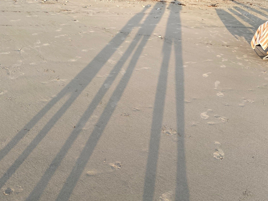 Playa Hermosa景点图片