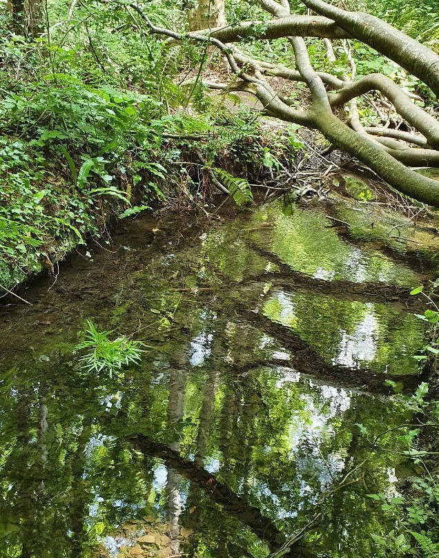 Marlay Park-都柏林必去景点