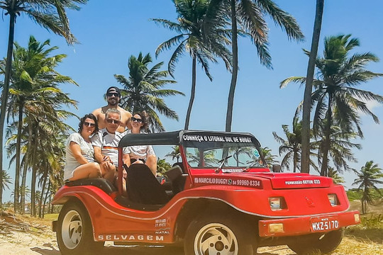 Passeios Natal - Day Tours-Natal必去景点