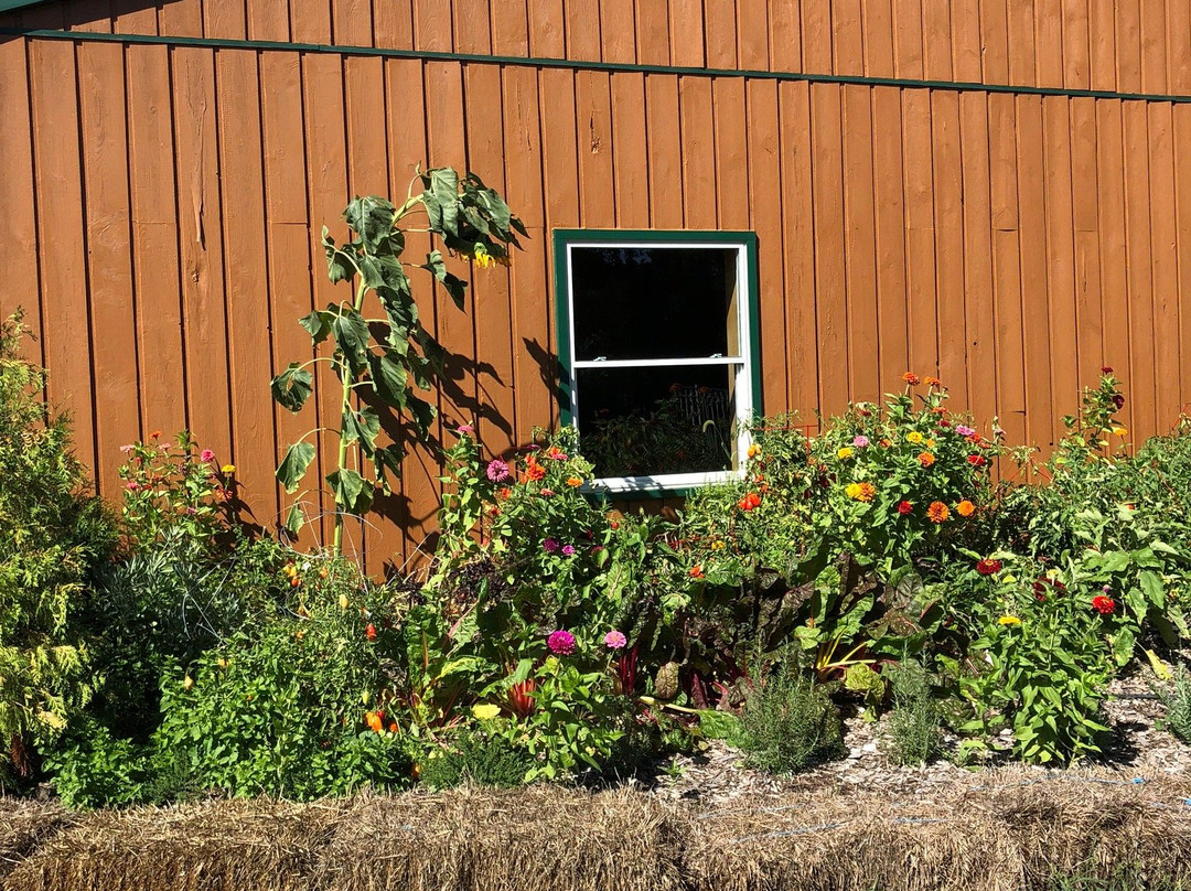 Wagner Orchards & Estate Winery-Lakeshore必去景点