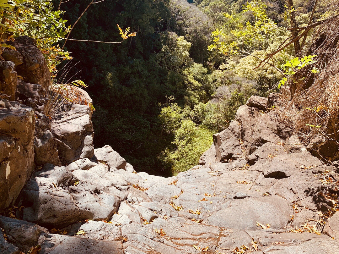 Waiohiwi Falls景点图片