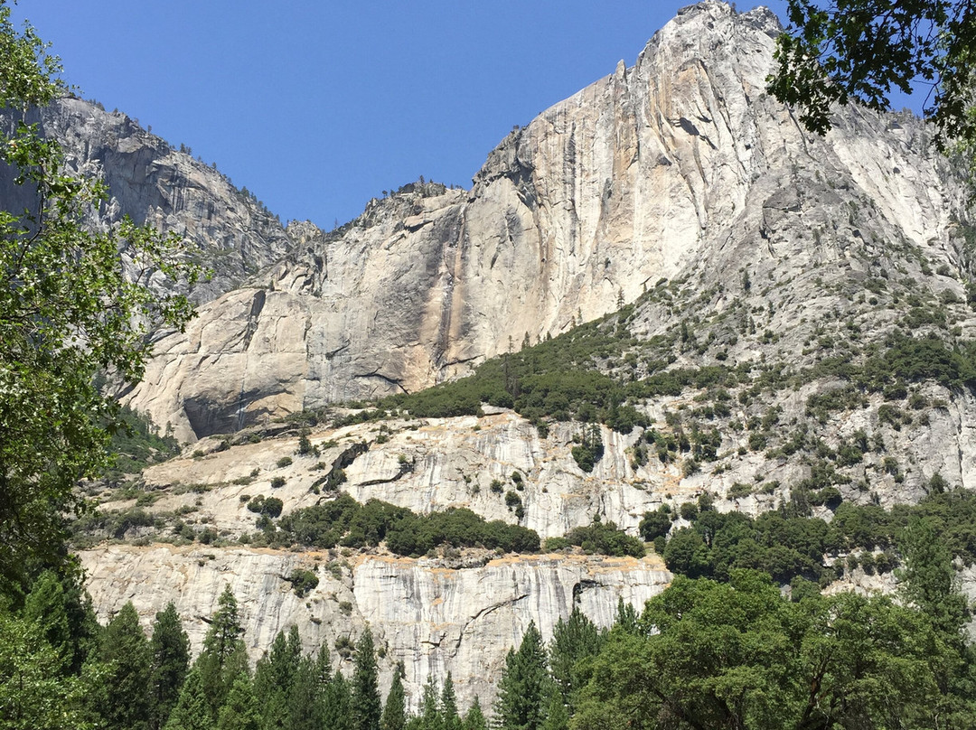 Cooks Meadow Loop-优胜美地国家公园必去景点