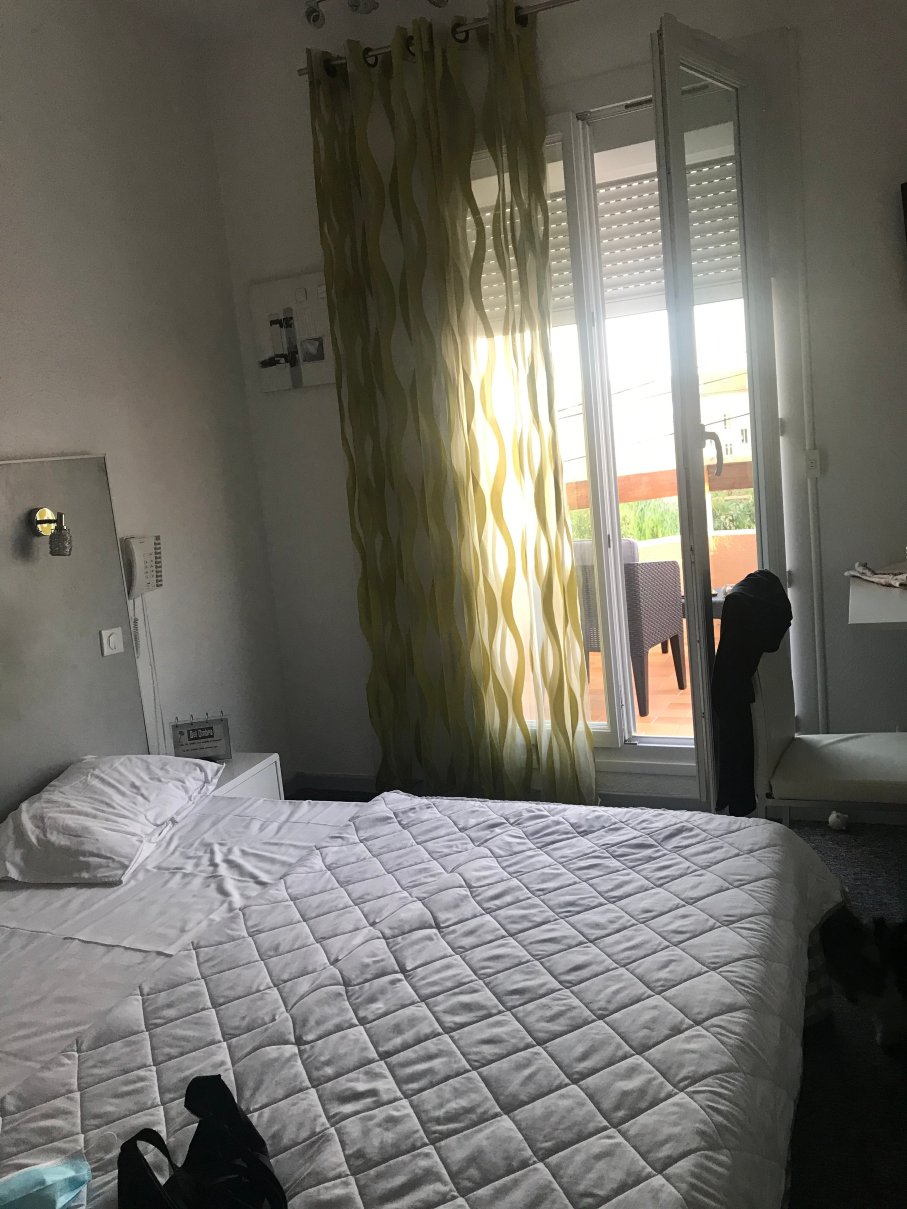 贝尔绿树酒店-官方