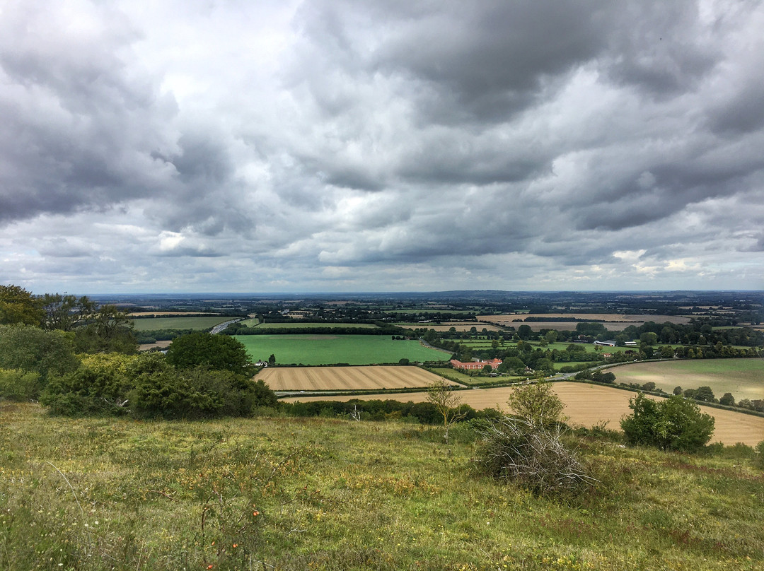 Aston Rowant Discovery Trail景点图片