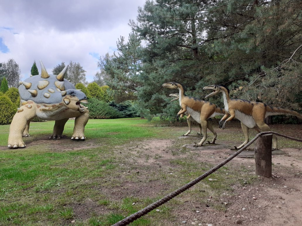 Jurajski Park Dinozaurów Muzeum Dziejów Ziemi景点图片