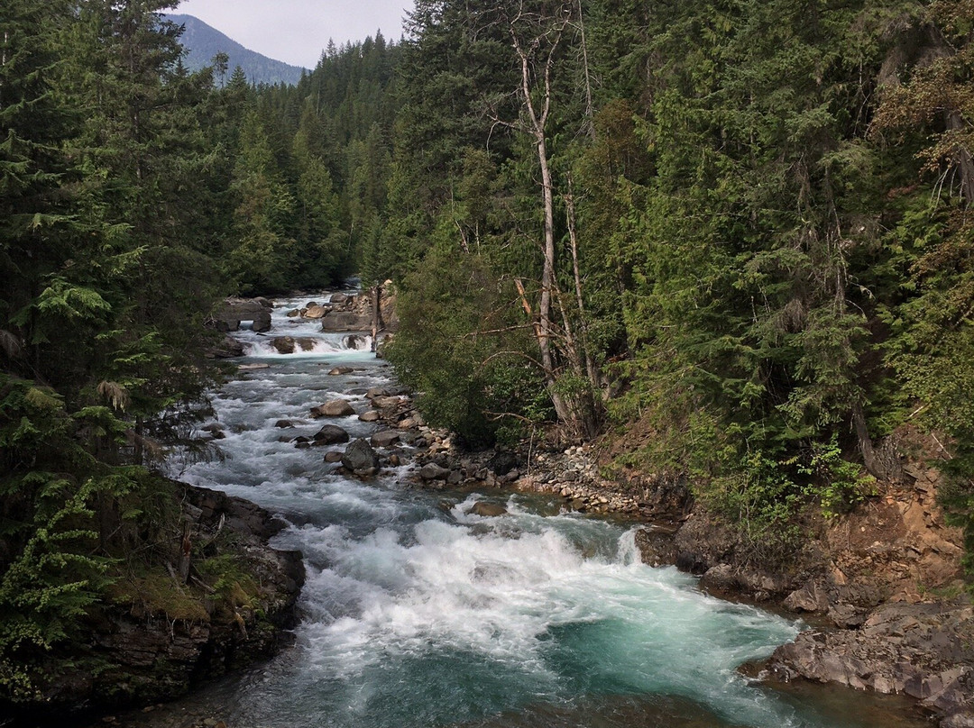 Kaslo River Trail景点图片