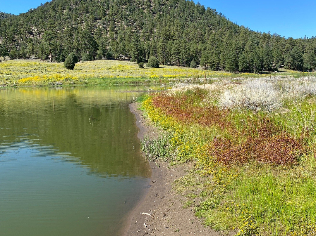 Quemado Lake景点图片