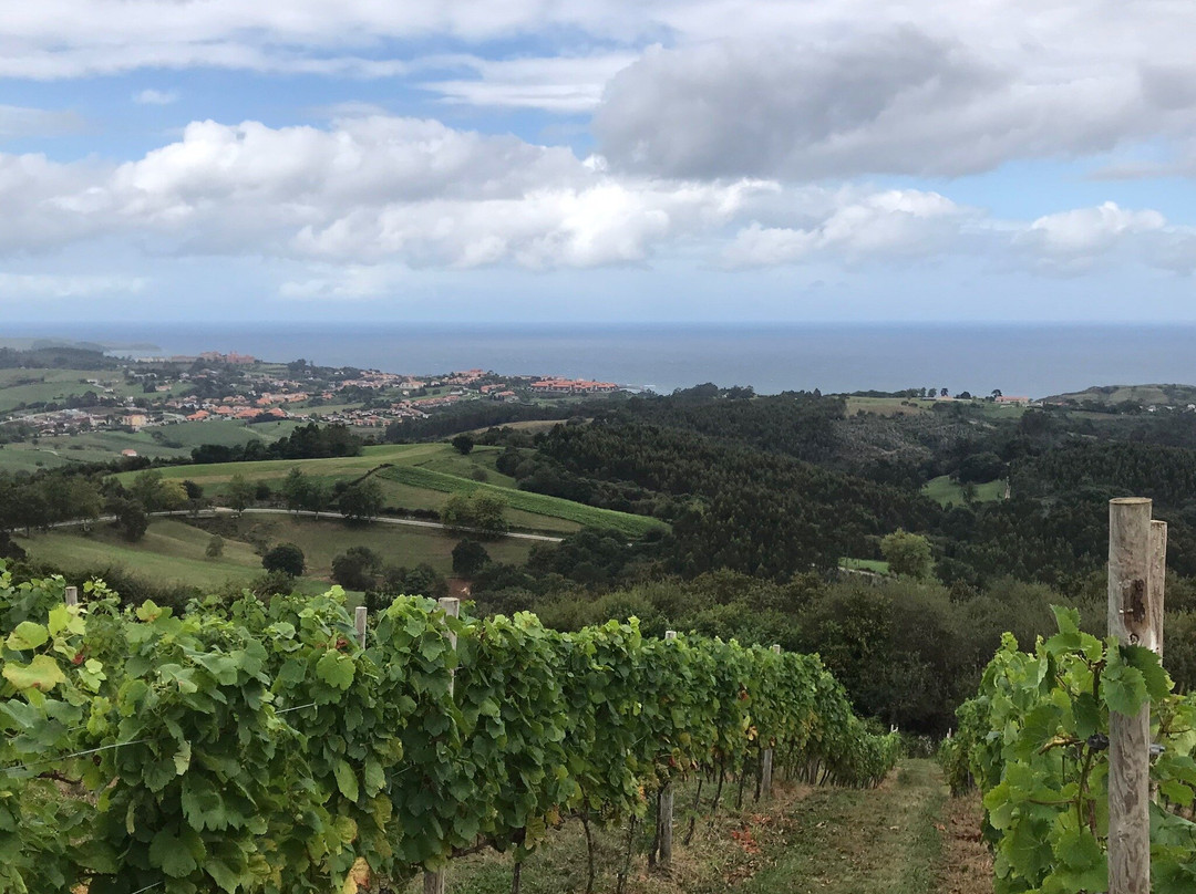 Bodegas Miradorio景点图片