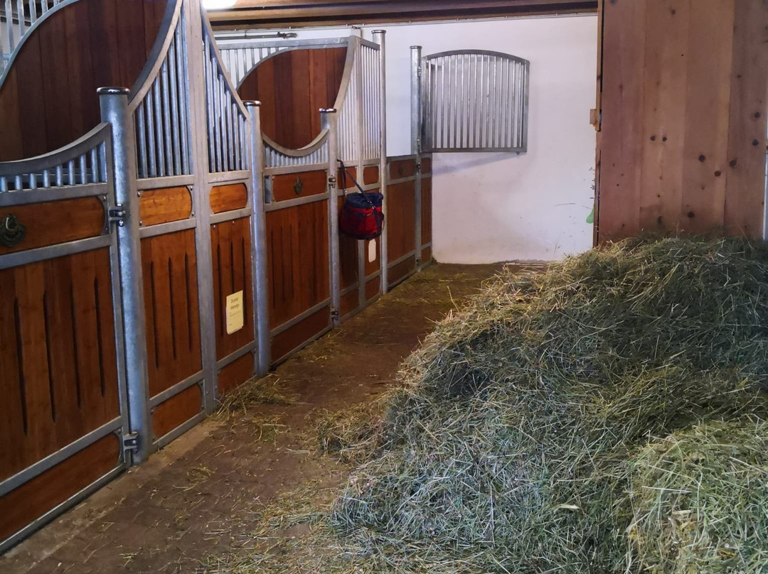 Gut Weissenhof主图