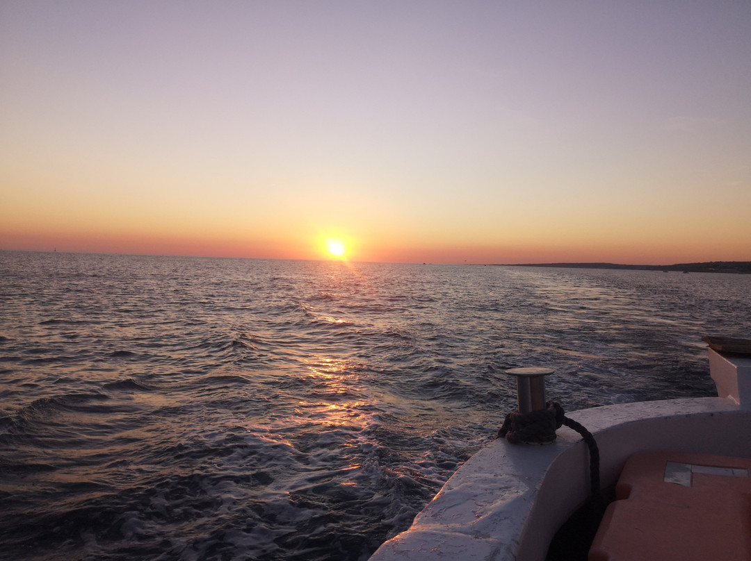 Miro - Boat Tours-Santa Maria di Leuca必去景点