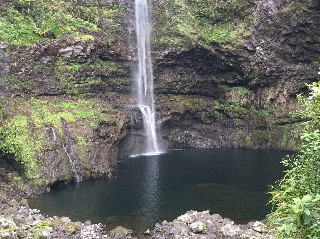Les Cascades de Takamaka景点图片