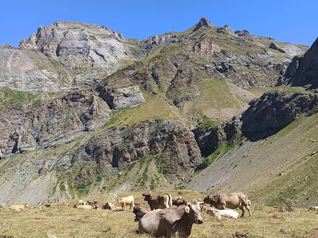 Tren de Alta Montana El Sarrio景点图片