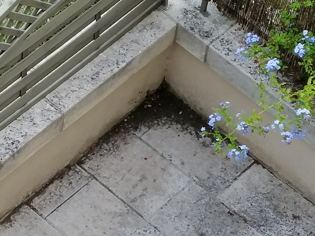 皮瑞罗酒店主图