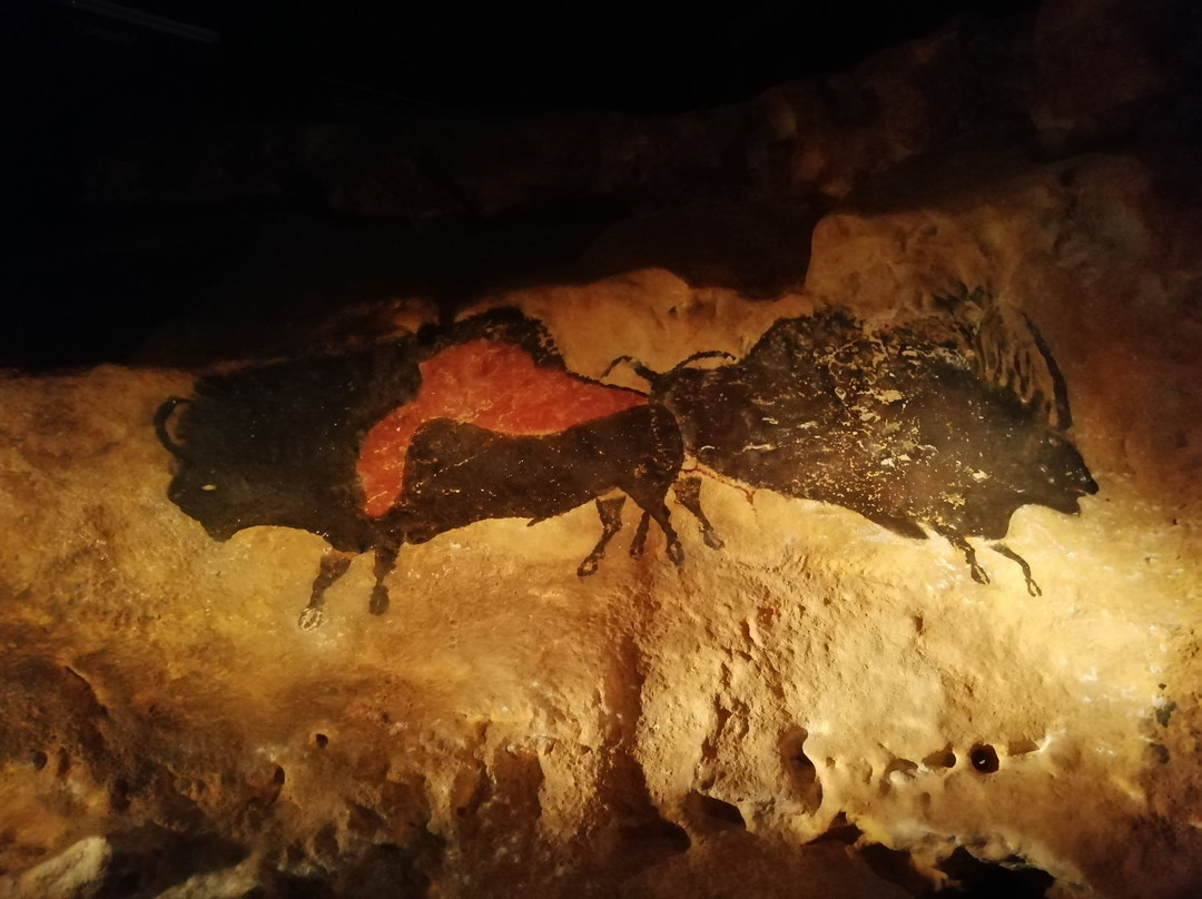 Parque de la Prehistoria景点图片