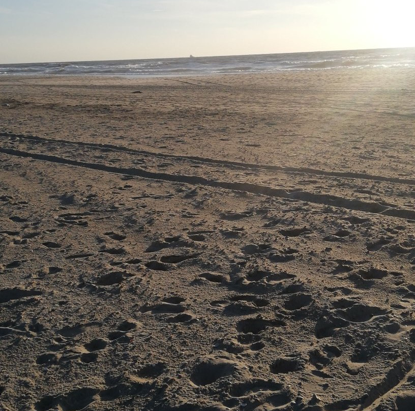 Dirkshorn旅游攻略图片