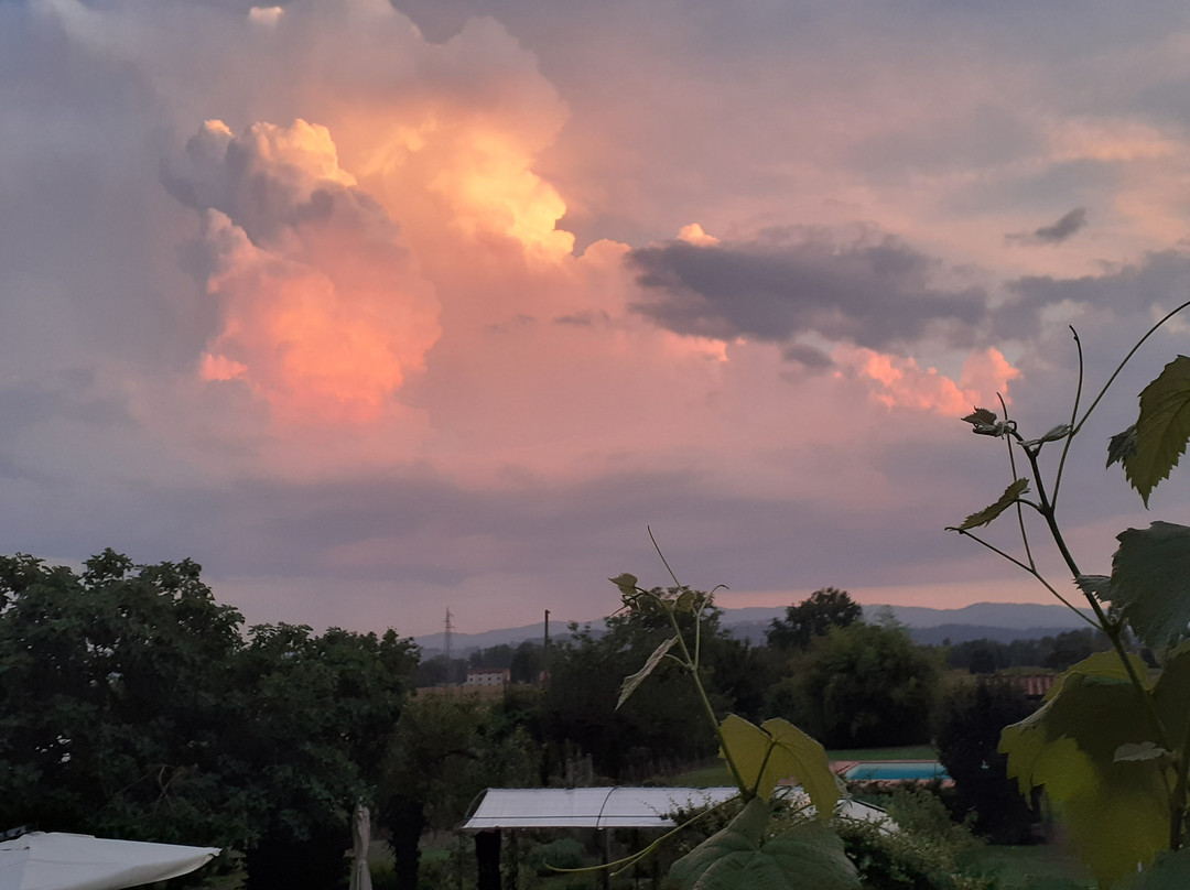 Agriturismo Il Trebbio主图