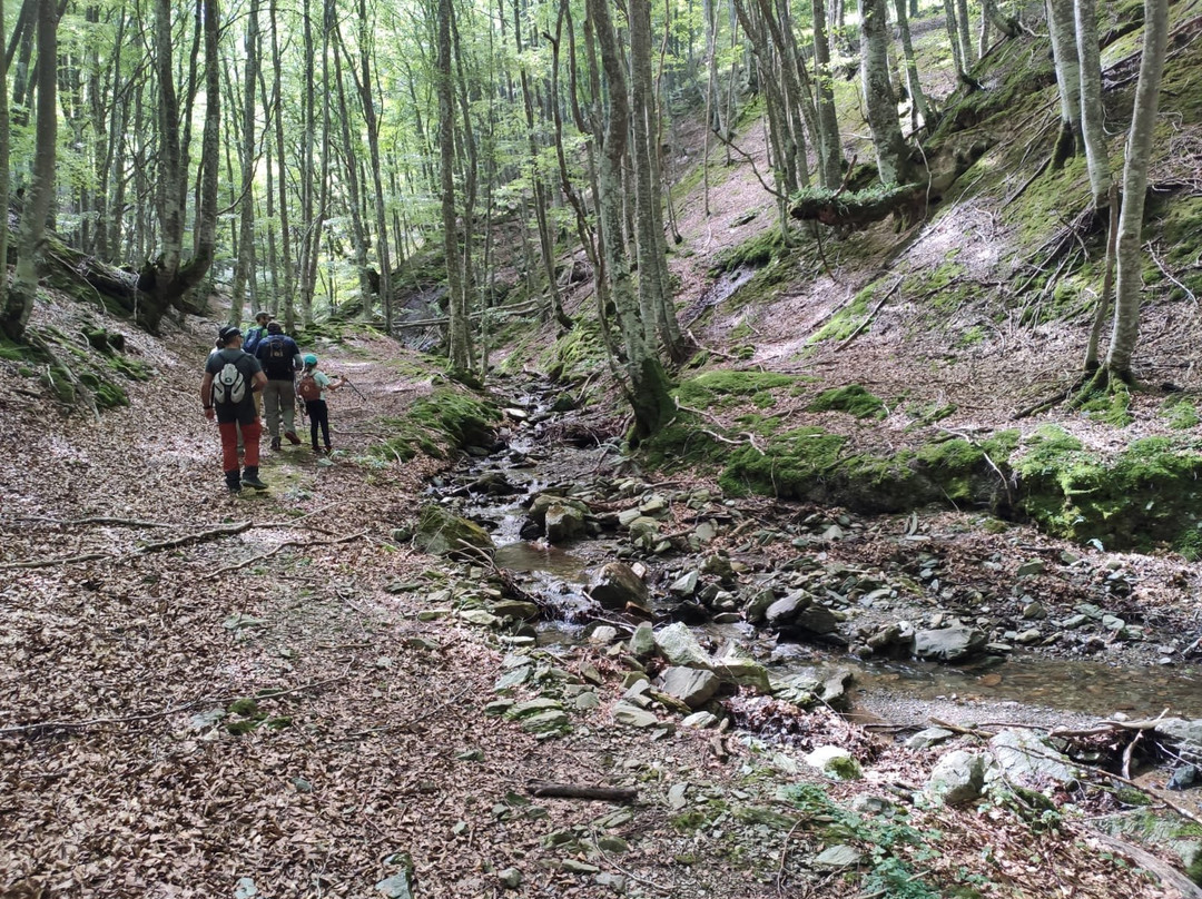 Silvestres-艾斯卡拉伊必去景点