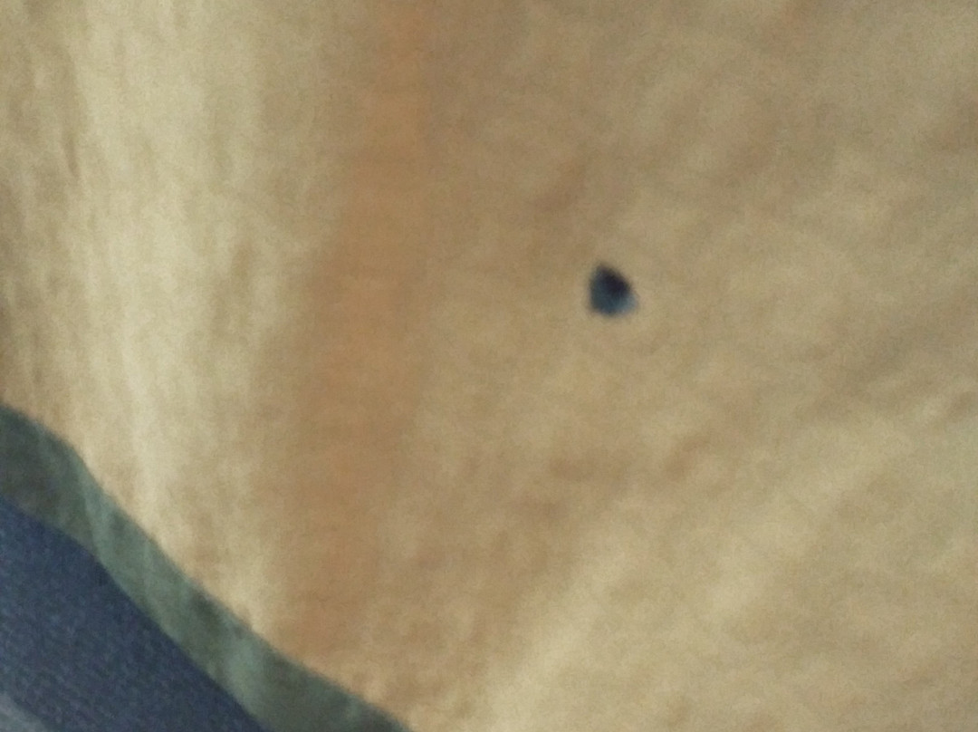 速8汽车旅馆主图