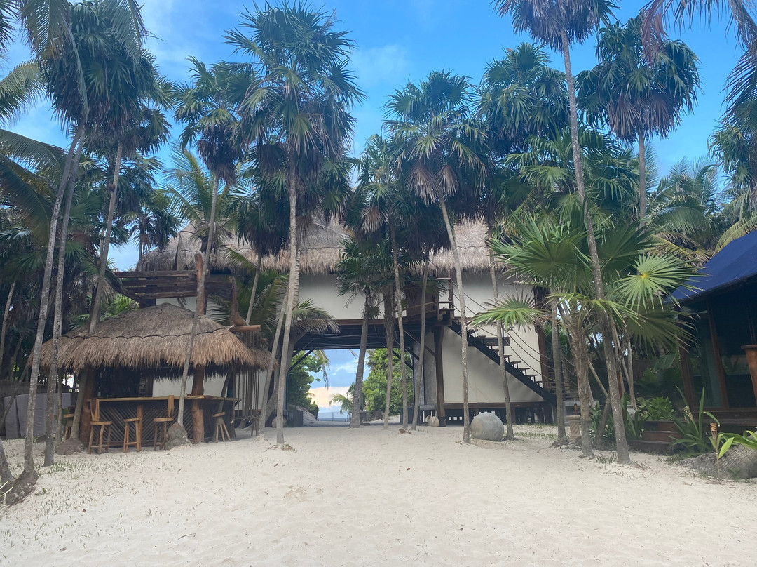 Libelula Tulum主图