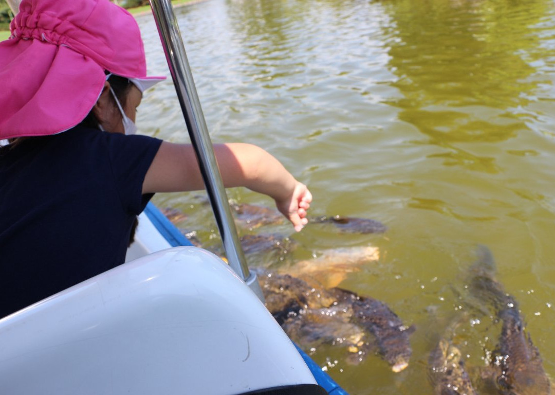 Tsurui Sports Field-鹤居村必去景点