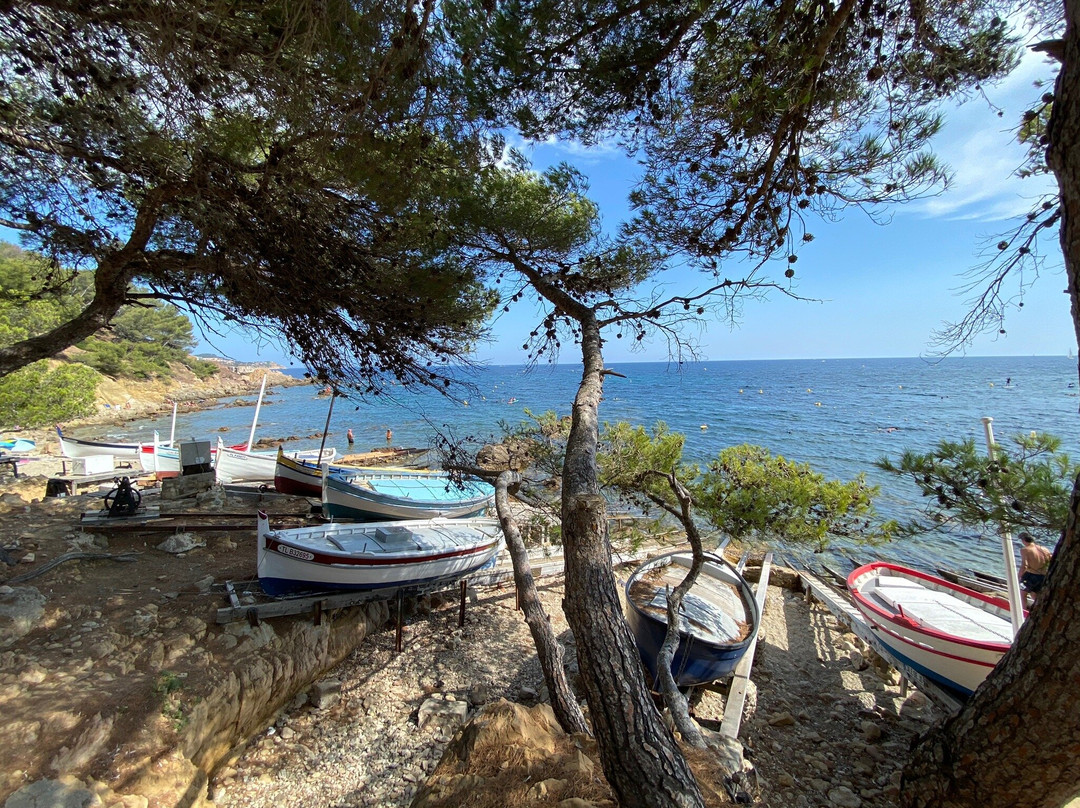 Plage de la Verne景点图片