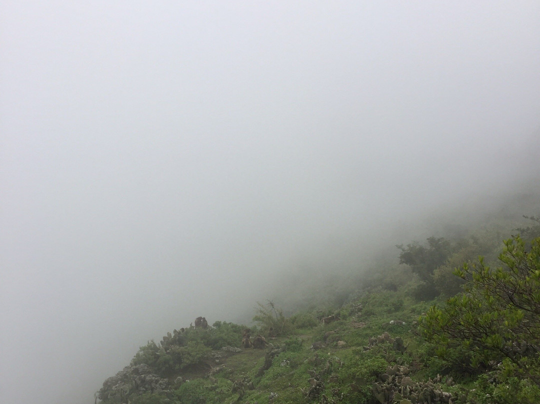 Debre Libanos Orthodox Church景点图片