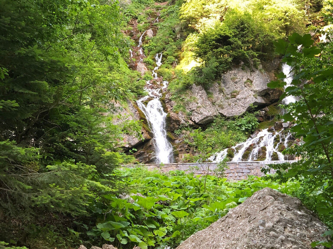 Cascada Spumoasa景点图片