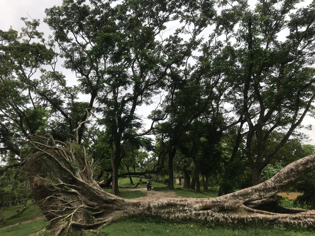 Chandraketu's Fort景点图片