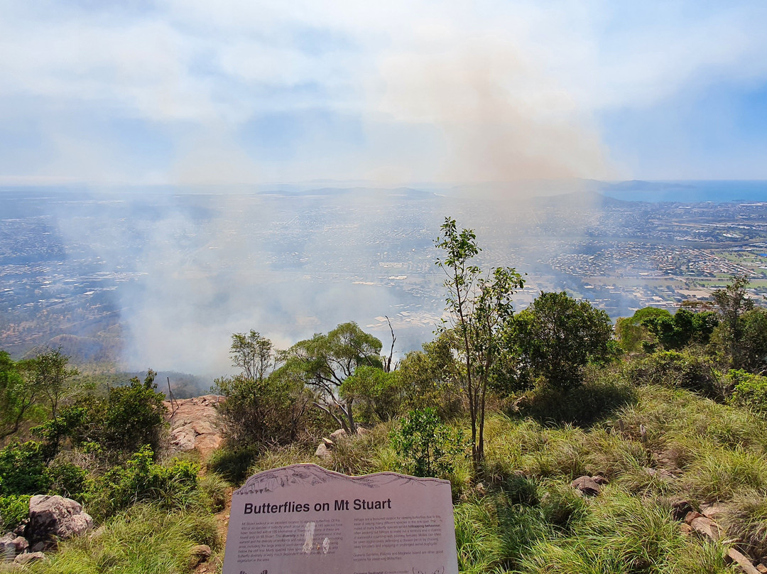 Mount Stuart-汤斯维尔必去景点