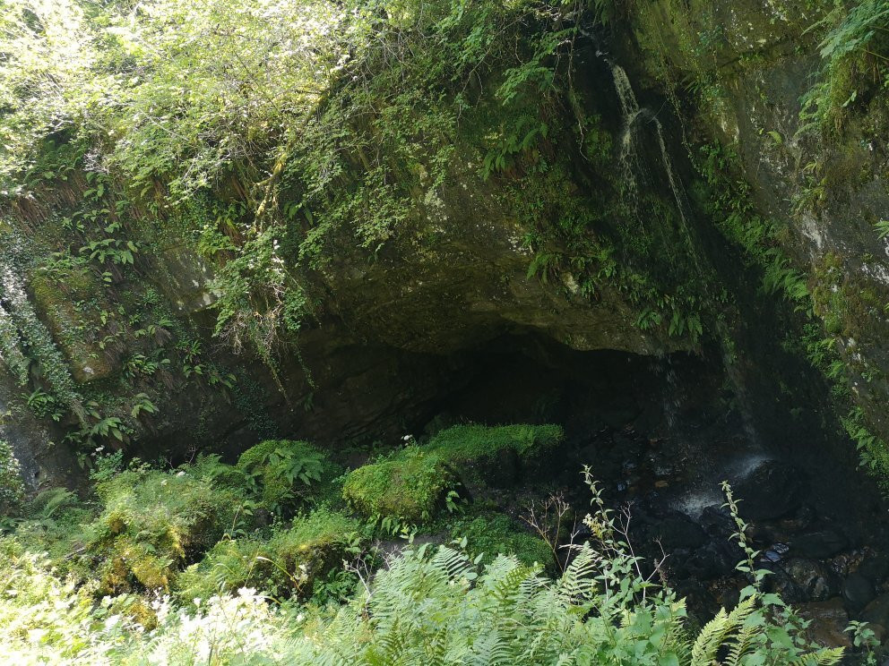 Belmore Forest - Pollnagollum Cave Walk景点图片