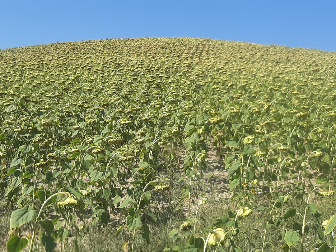 Relais Il Margarito主图