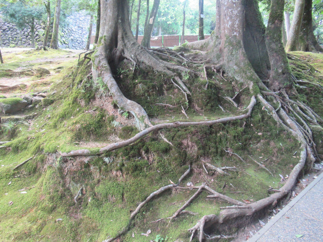 松江城山公園-松江市必去景点