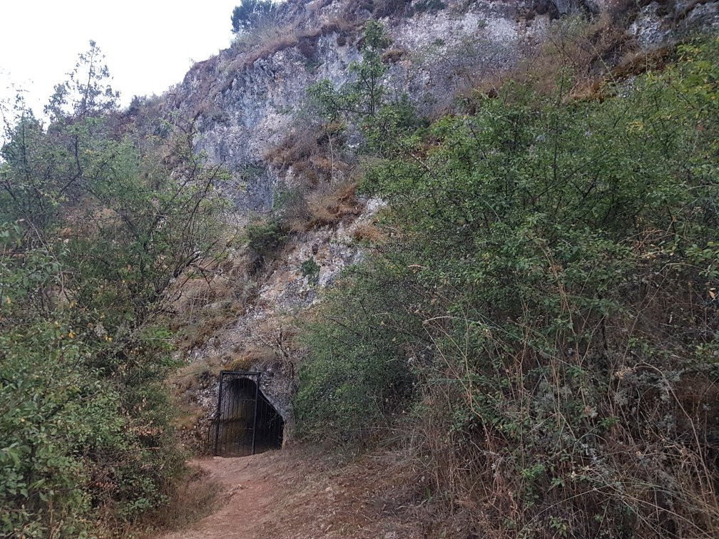 Cueva de la Zorra景点图片