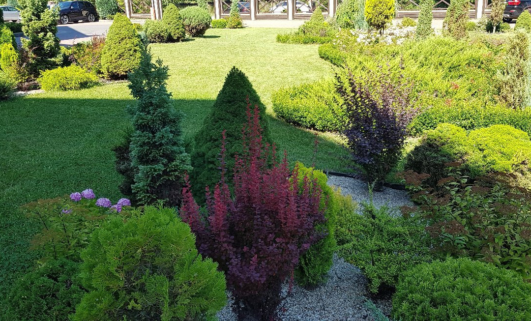 Optima Collection Park Hotel Ivano-frankivsk主图