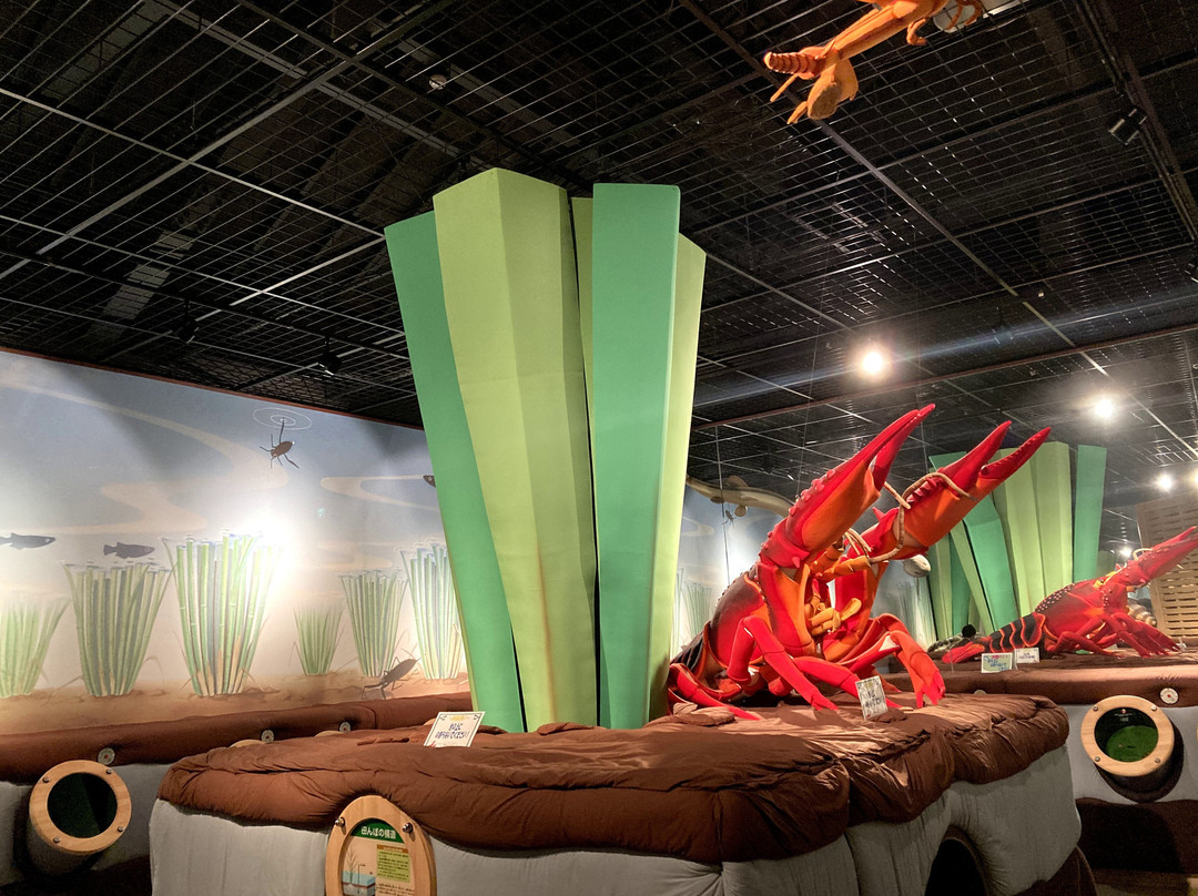 Agricultural Science Museum-北上市必去景点