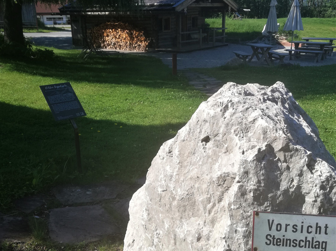 穆尔瑙阿尔班霍夫酒店_x005F_x000D_主图