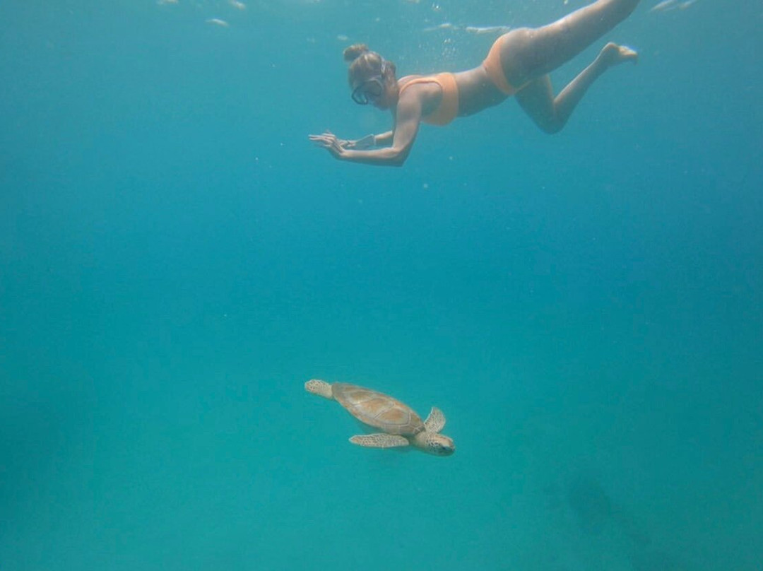 Team Baywatch Watersports-Holetown必去景点