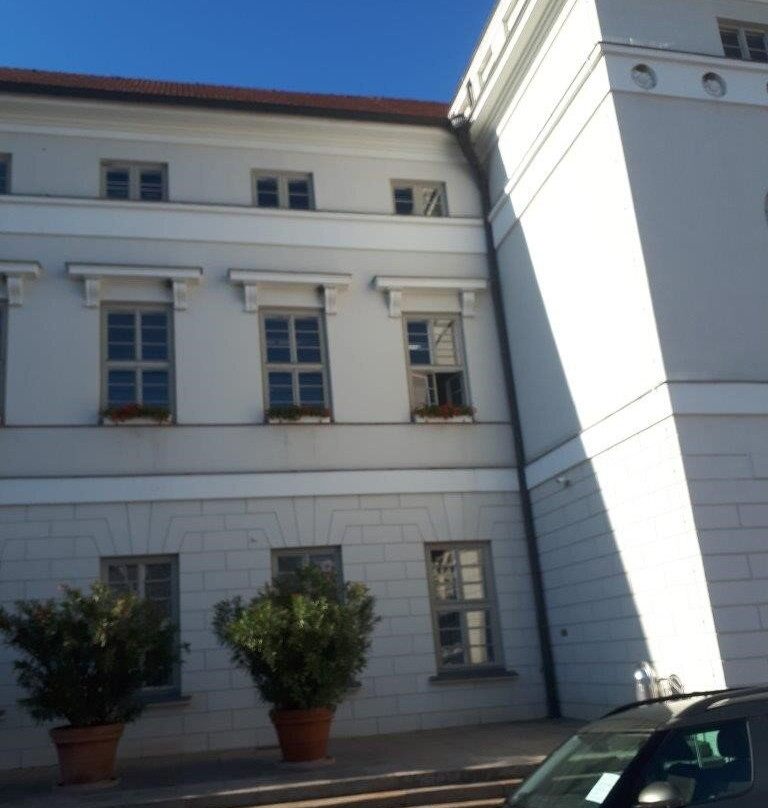Rathaus Wismar景点图片