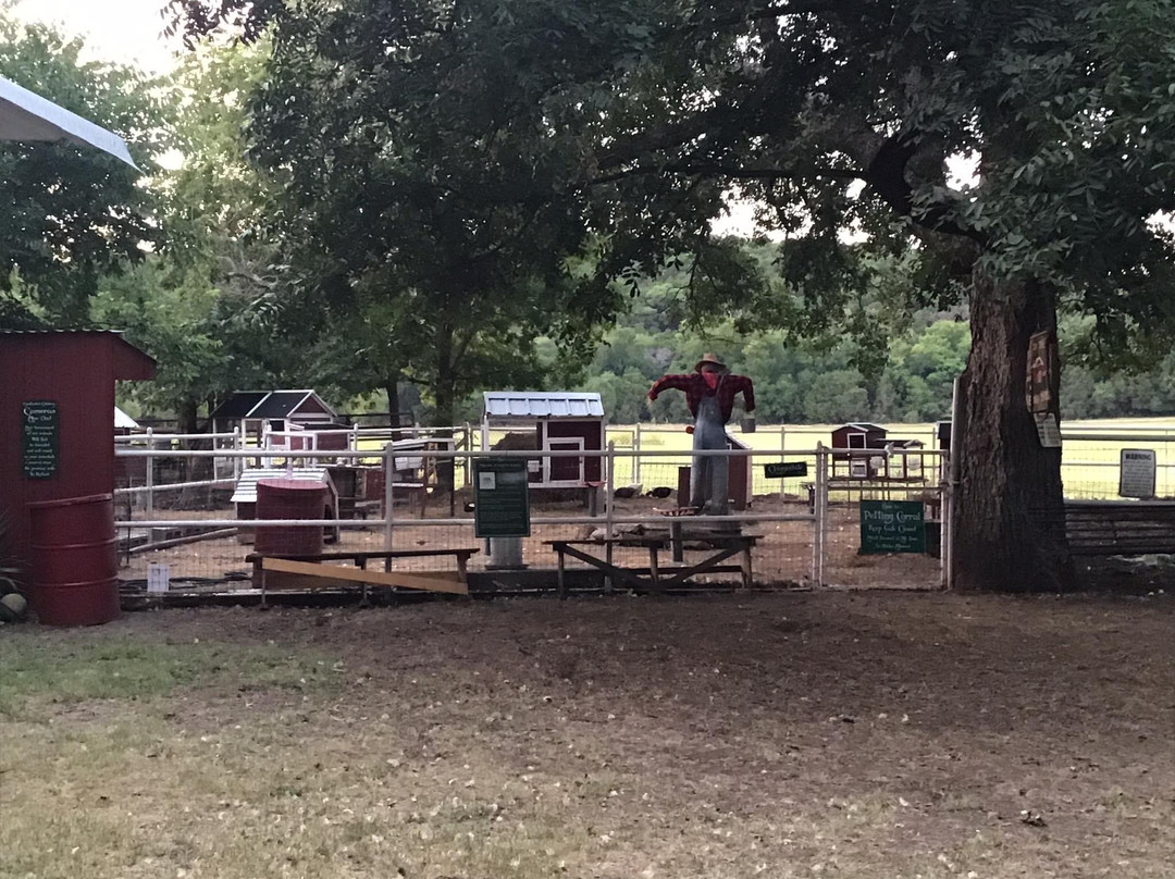 Country Woods Inn主图