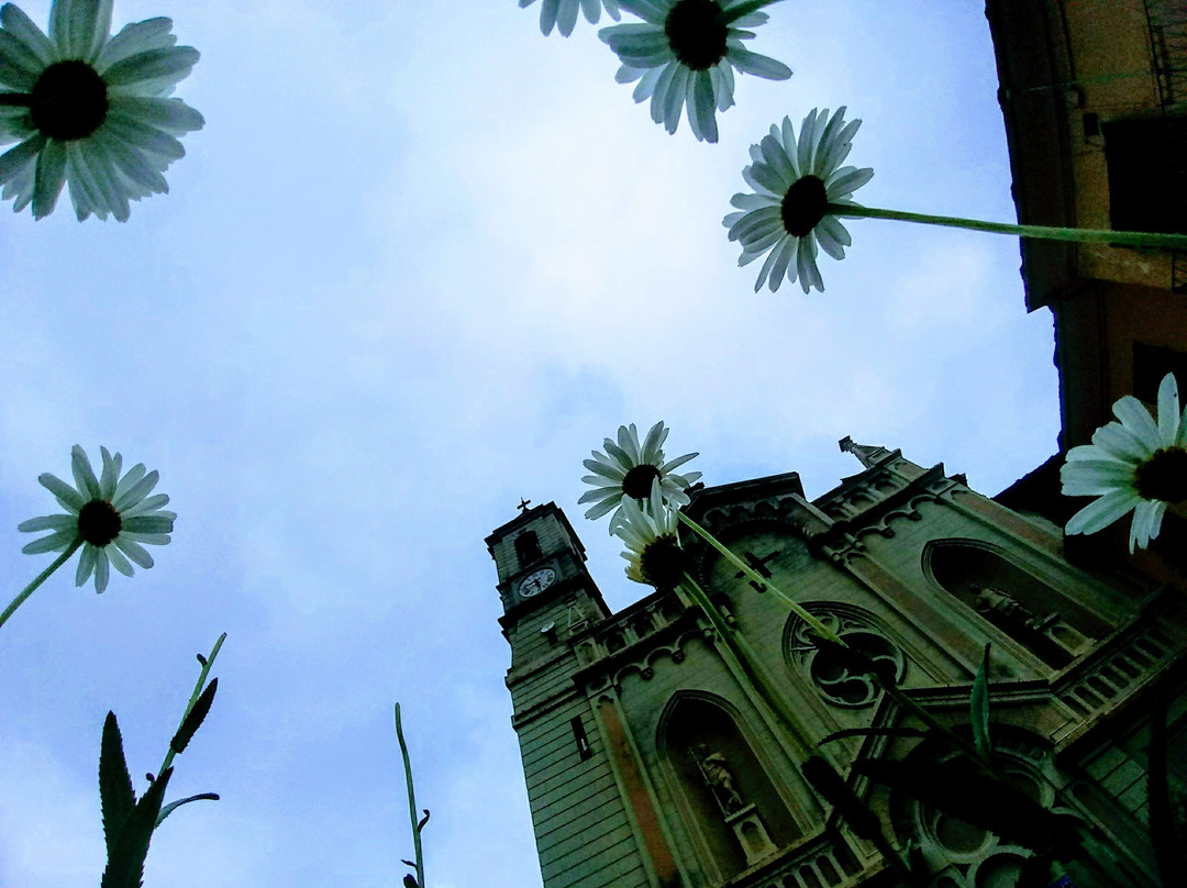 Santuario San Chiaffredo景点图片
