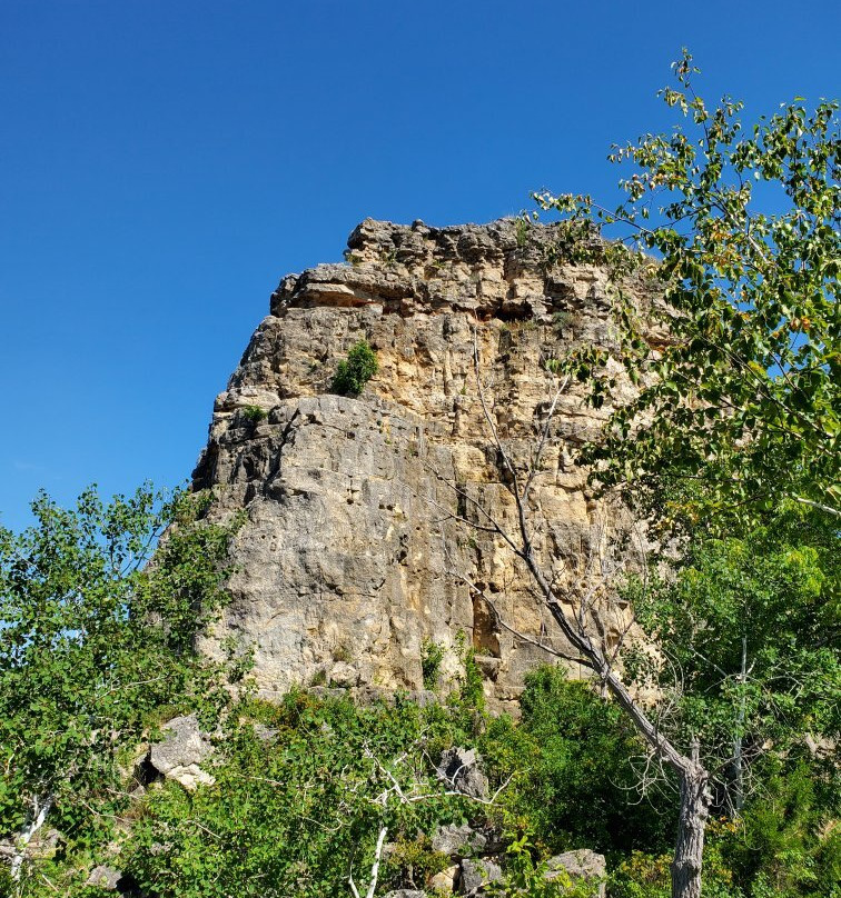 Sugar Loaf-威诺纳必去景点